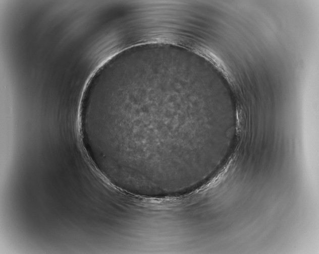 X0000094350780200711021432