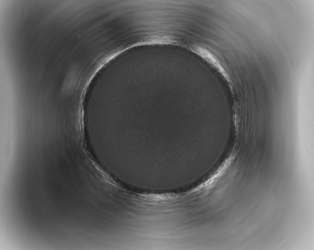 X0000094350781200711021432