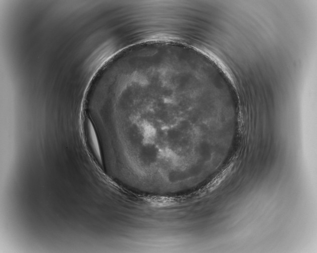 X0000094350783200711021432