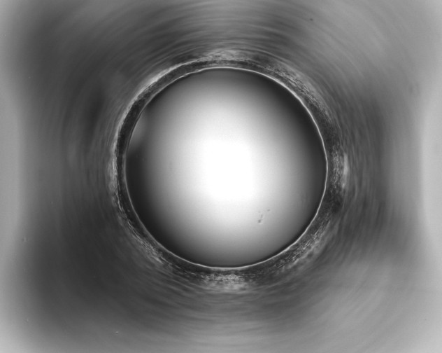 X0000094350784200711021432