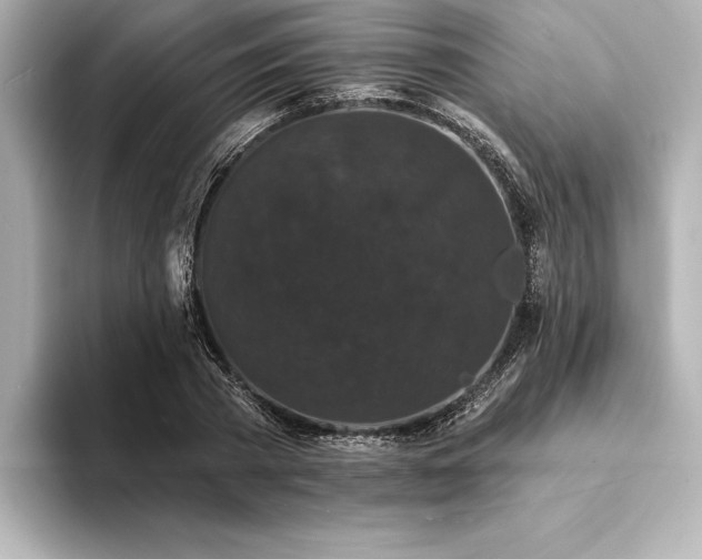 X0000094350785200711021432