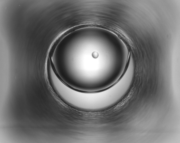 X0000094350788200711021432