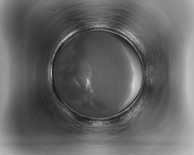 X0000094350790200711021432