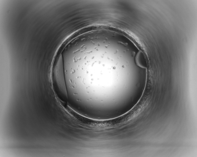X0000094350791200711021432