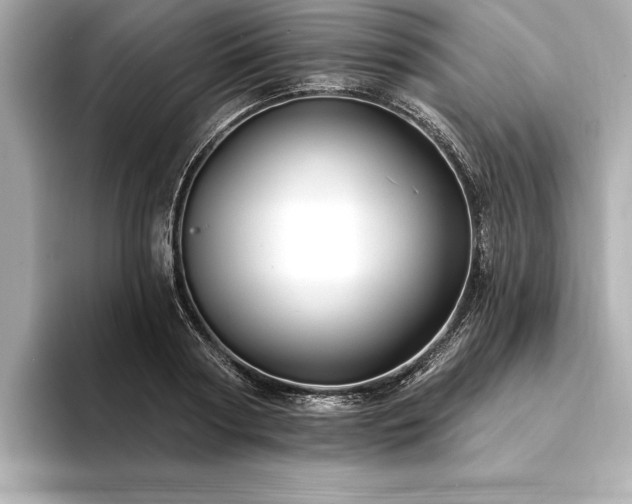 X0000094350794200711021432