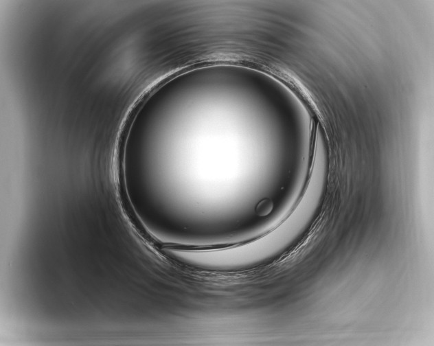 X0000094350795200711021432