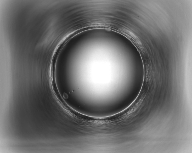 X0000094350796200711021432