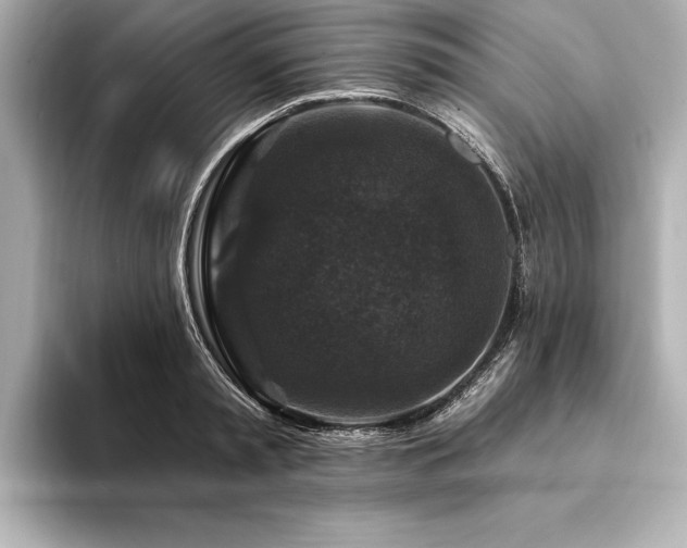 X0000094350797200711021432