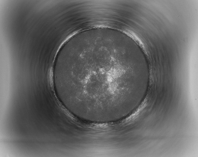 X0000094350798200711021432