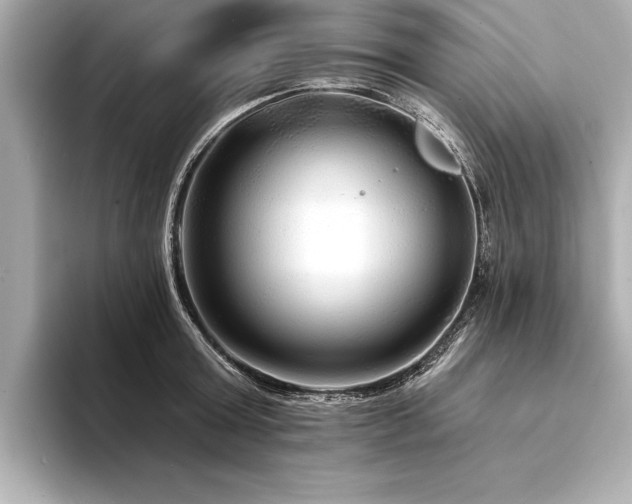 X0000094350803200711021432