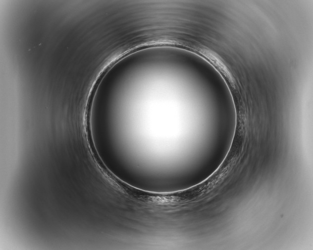X0000094350805200711021432