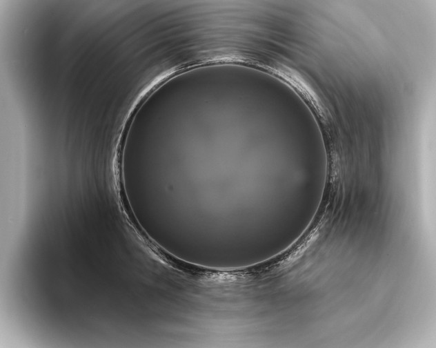 X0000094350806200711021432