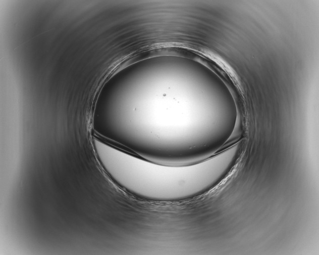 X0000094350809200711021431