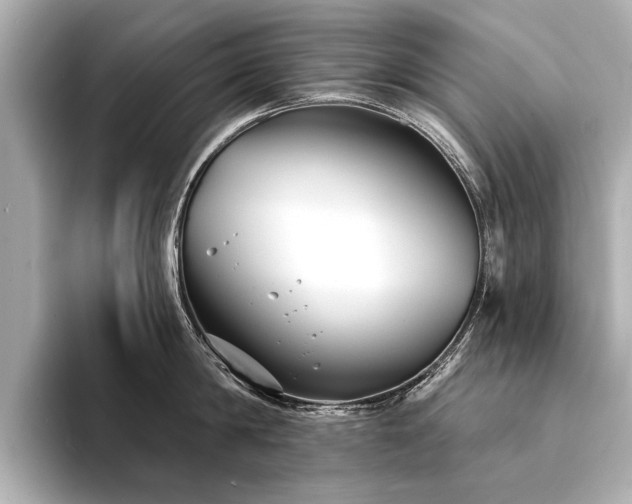 X0000094350814200711021431