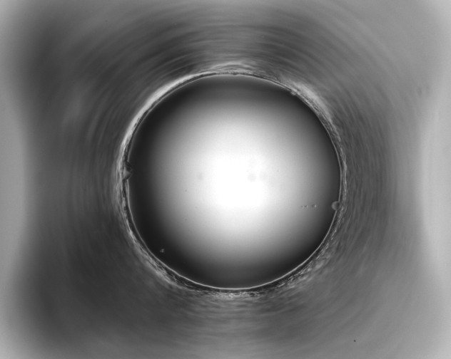 X0000094350816200711021431