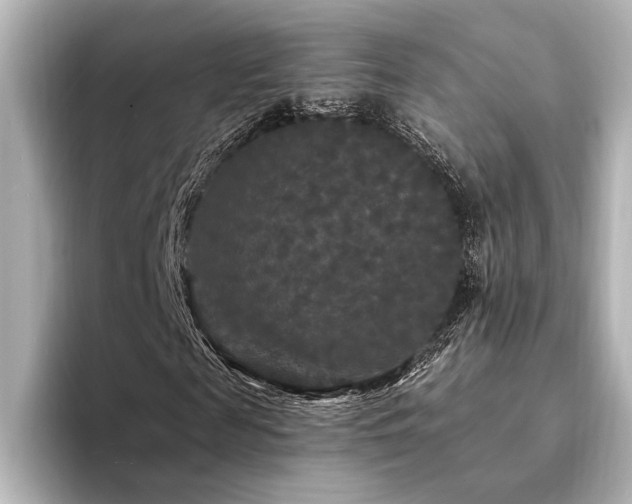 X0000094350817200711021431