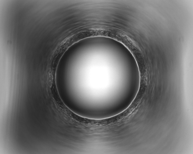 X0000094350821200711021431