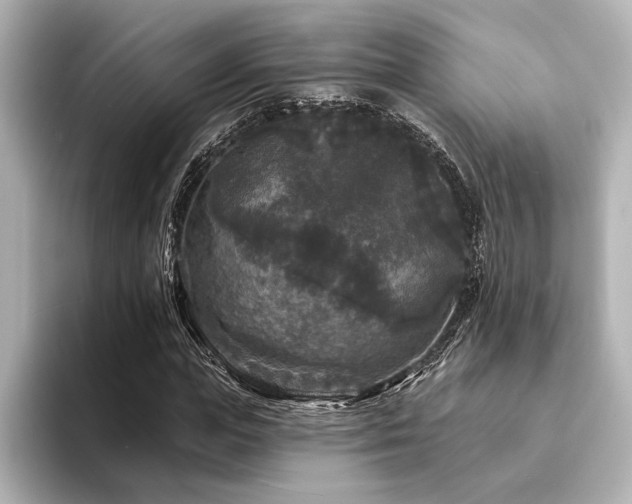 X0000094350823200711021431