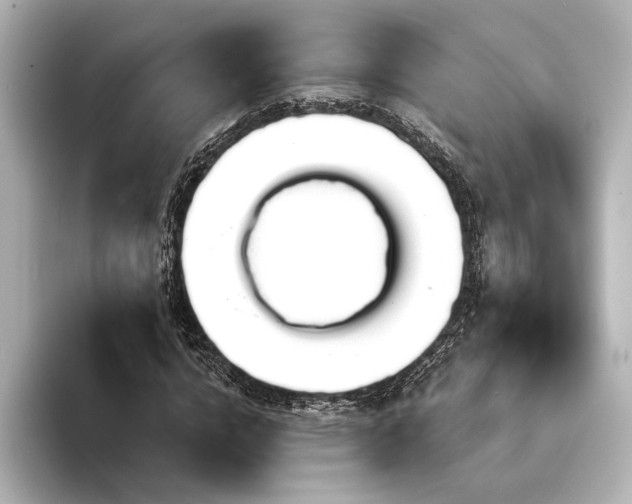 X0000094350824200711021431