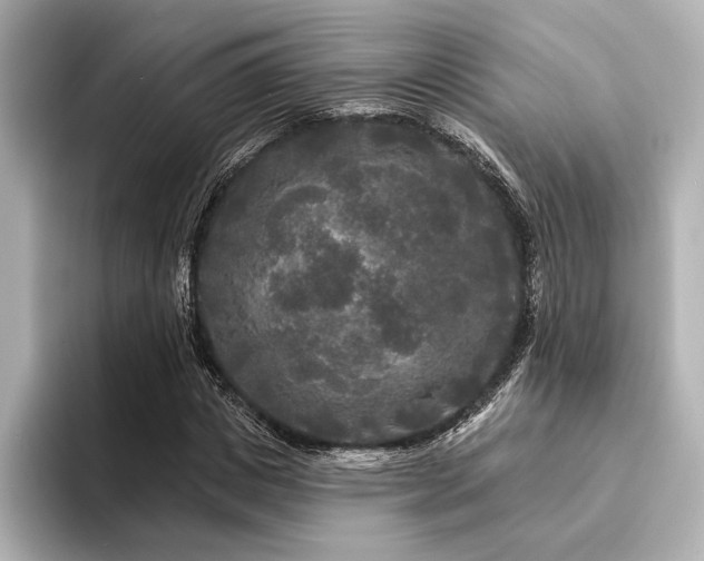 X0000094350825200711021431
