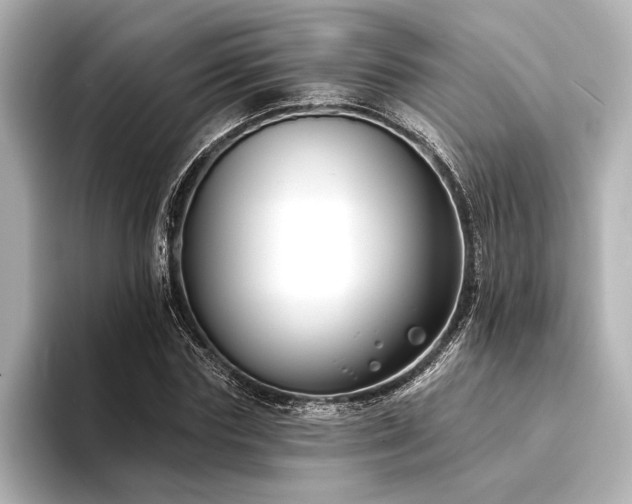 X0000094350827200711021431