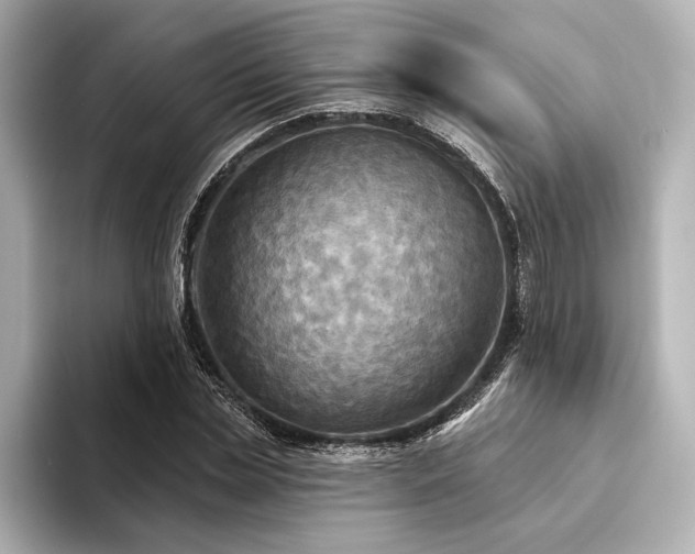 X0000094350829200711021431