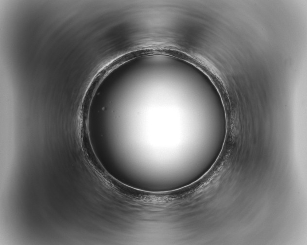 X0000094350831200711021431