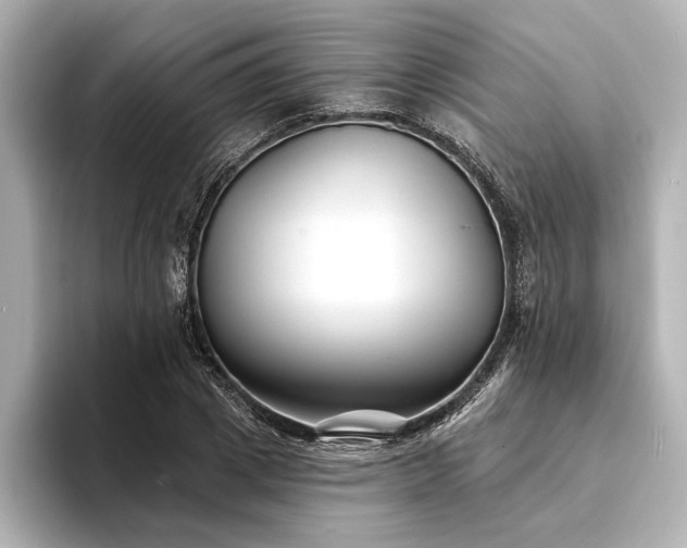 X0000094350833200711021431