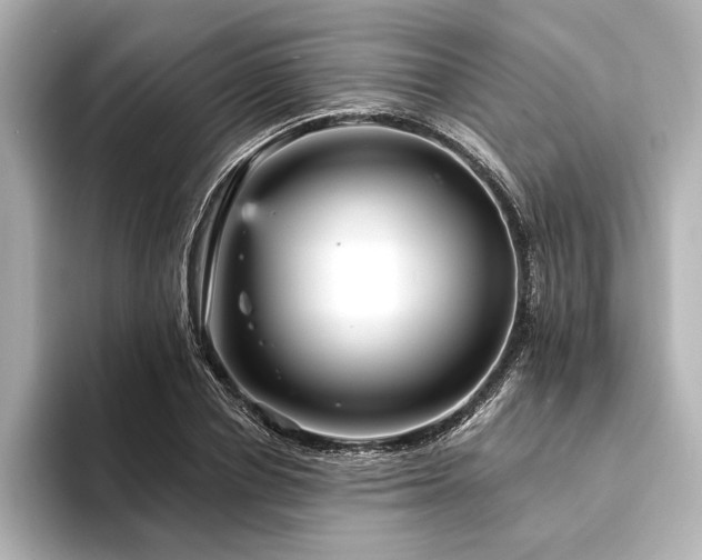 X0000094350834200711021431