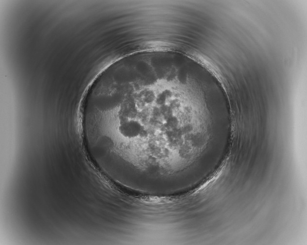 X0000094350835200711021431