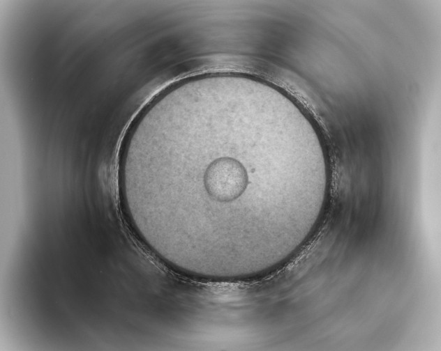 X0000094350836200711021431