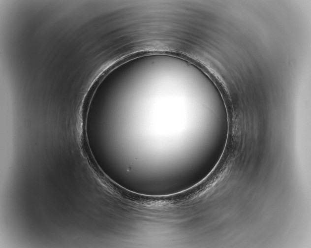 X0000094350837200711021431
