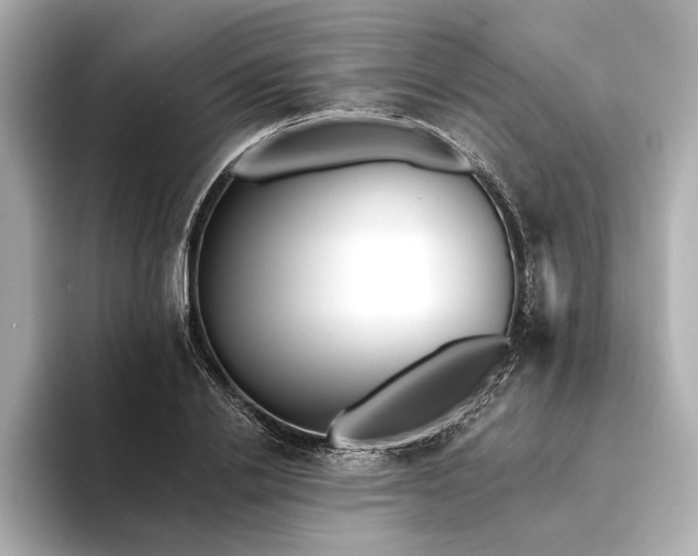 X0000094350838200711021431