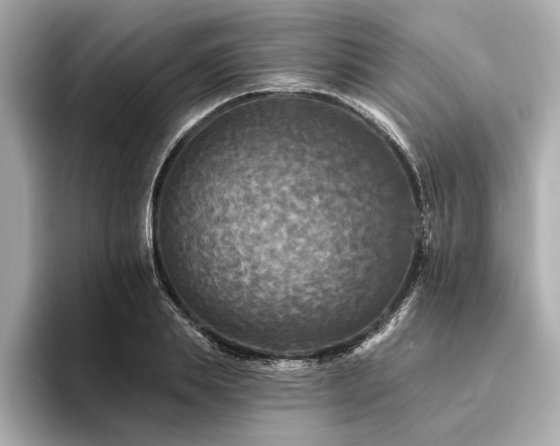 X0000094350839200711021431