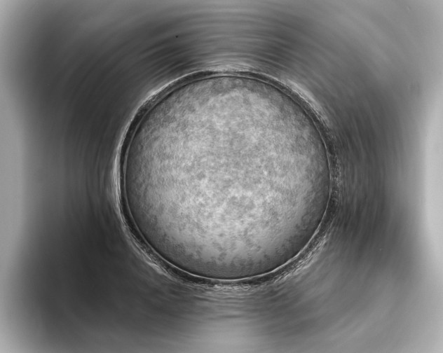 X0000094350840200711021431