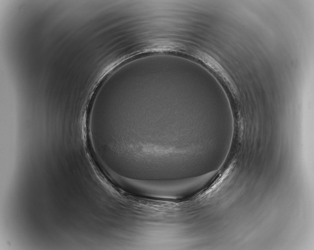 X0000094350842200711021431