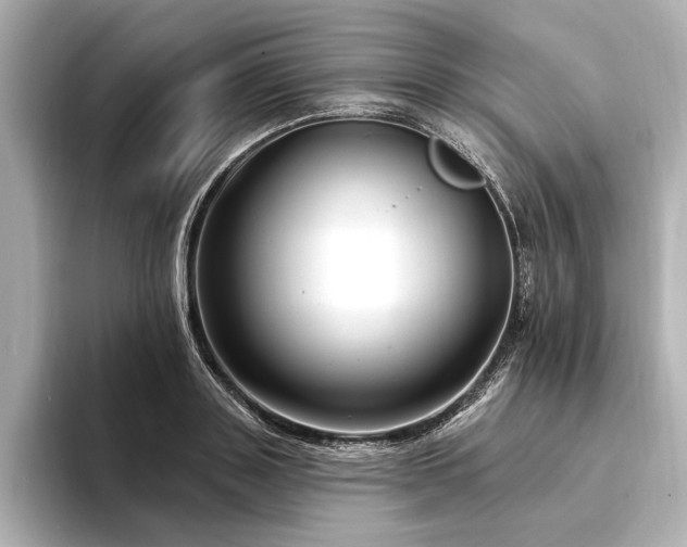 X0000094350843200711021431