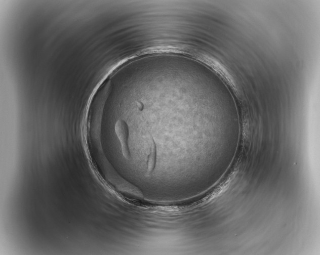 X0000094350844200711021431