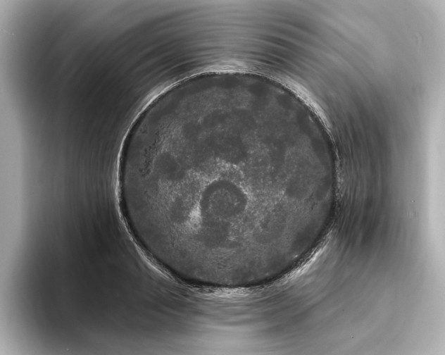 X0000094350845200711021431