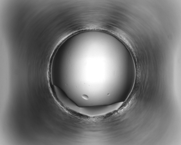 X0000094350847200711021431