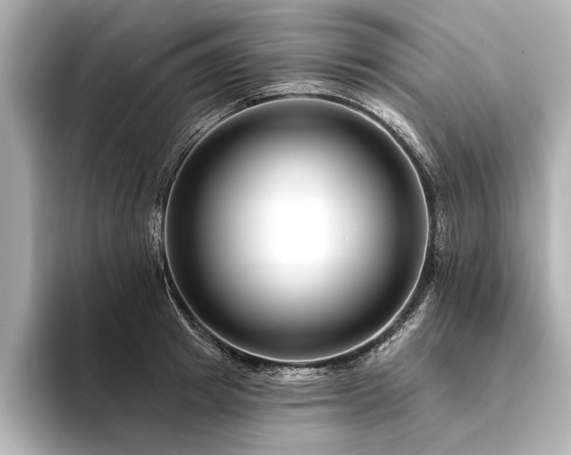 X0000094350849200711021431