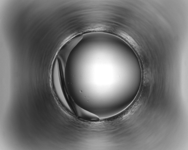 X0000094350850200711021431