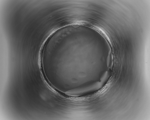 X0000094350851200711021431