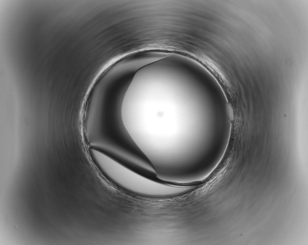 X0000094350854200711021431