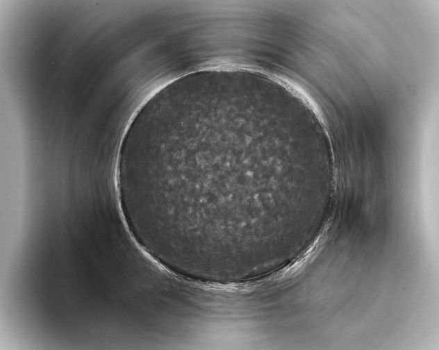 X0000094350855200711021431