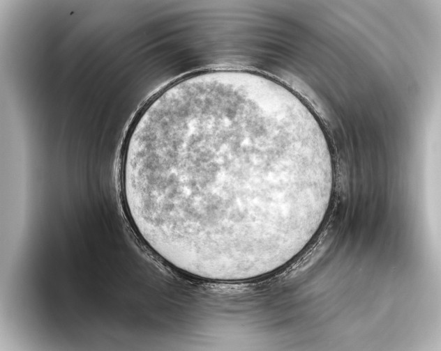 X0000094350856200711021431