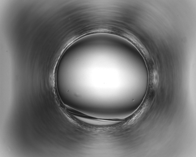 X0000094350858200711021431