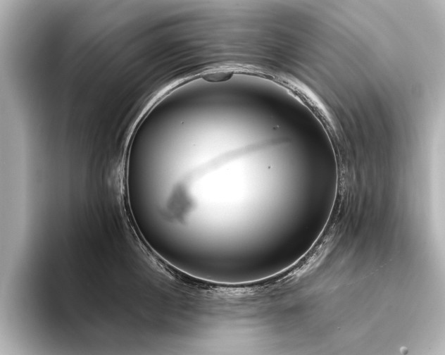 X0000094350860200711021431