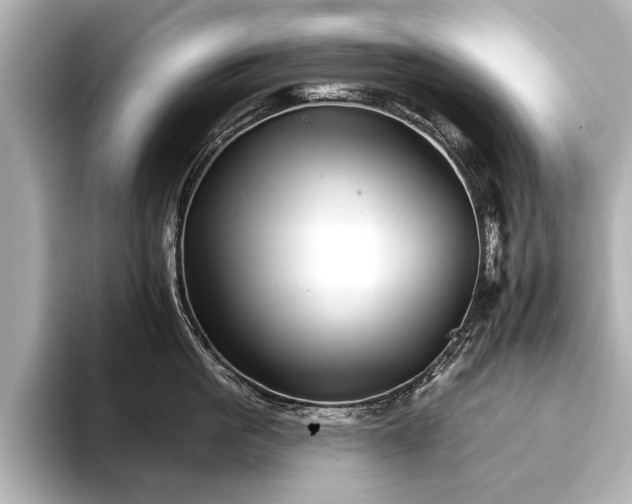 X0000094350861200711021431