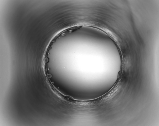 X0000094350862200711021431